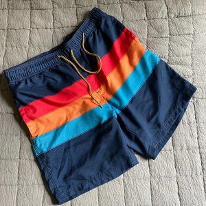 Striped Swim Trunks